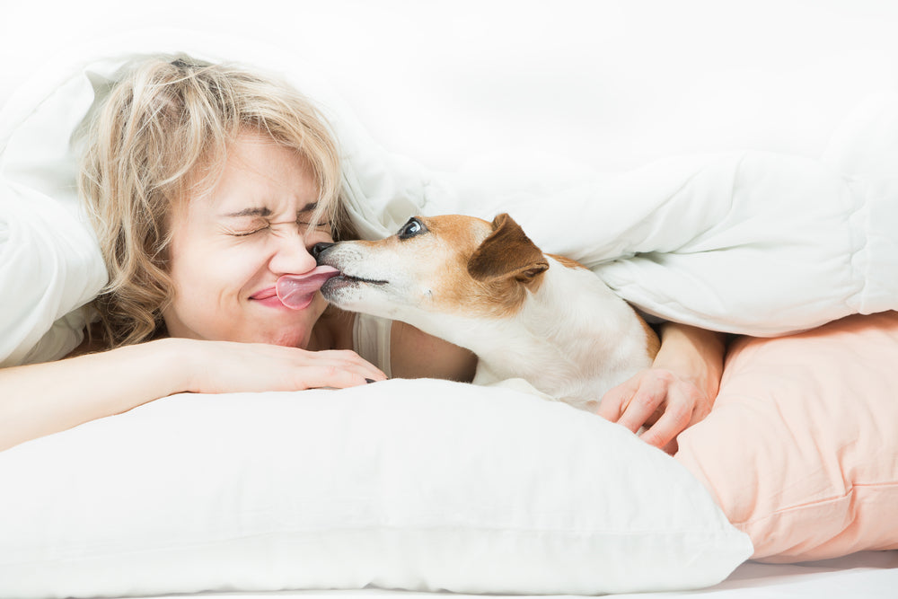 REASONS WHY LADIES SLEEP MORE SOUNDLY NEXT TO DOGS